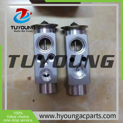 TUYOUNG auto ac expansion valves Renault Premium Trucks 5001867932