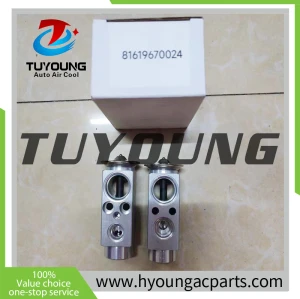 Best quality Prime aluminium Auto AC expansion valves MAN truck TGL / TGM / TGA / TGS / TGX 81.61967-0024  81619670024