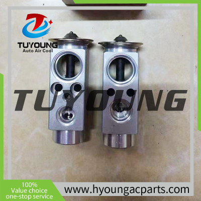 Best quality Prime aluminium Auto AC expansion valves MAN truck TGL / TGM / TGA / TGS / TGX 81.61967-0024  81619670024