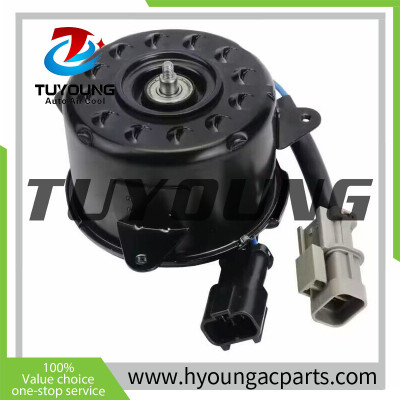 TUYOUNG China produce automotive cooling fan motors, new, superior quality HY-DJ119
