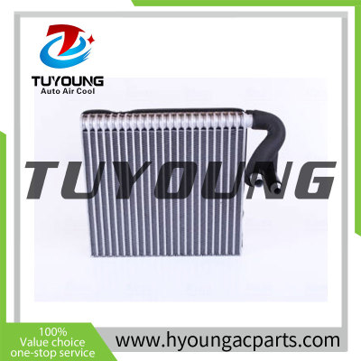 TuYoung Auto AC Evaporator Cooling Coil fit Mini Cooper 64111499134
