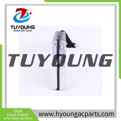 TuYoung Auto AC Evaporator Cooling Coil fit Mini Cooper 64111499134