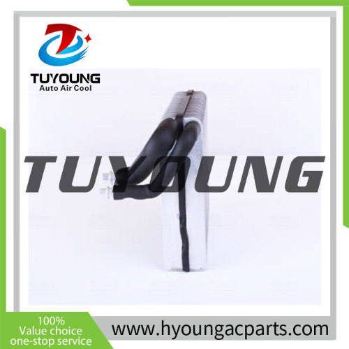 TuYoung Auto AC Evaporator Cooling Coil fit Mini Cooper 64111499134