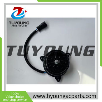 Nissan Auto AC Radiator Fan Motor 21487-EW00B 21487EW00B