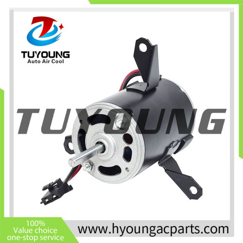 TUYOUNG China supply auto air conditioning Fan Motor for   Kenworth Trucks  203142BSM