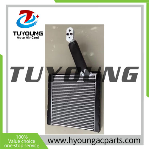 TuYoung Auto ac Evaporator cooling coil Rear fit Toyota Rush / Toyota Avanza 2014