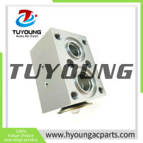 16271772  Auto Air Conditioning Expansion Valve for Volvo Truck A25F A25G A30F A30G A35GF A35G A40G A40G