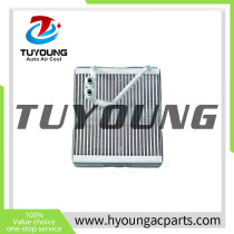 RHD 971394X100 Auto Air Conditioning Evaporators 25*20*20cm for KIA SOLUTO
