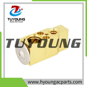 60779304 60779346 351239751 8UW351239751 Auto Air Conditioning Expansion Valve for ALFA GTV