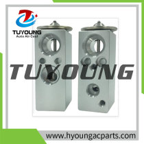 46722958 46723601 46723617 1557458 Auto Air Conditioning Expansion Valve FIAT DOBLO 0000046722958 0000046723617 9S5118495AA 9S518495AA