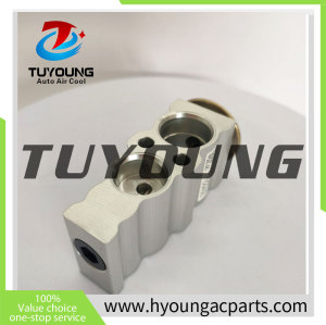 447500-4920  4475004920   447500 4920 Auto Air Conditioning Expansion Valve for Toyota WIGO