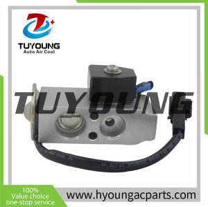 447510-0130 4475100130 447510 0130 Auto Air Conditioning Expansion Valve for Toyota HIACE