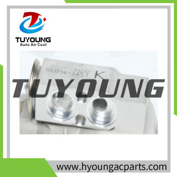 Auto Air Conditioning Expansion Valve Nissan 92200-vw010 92200vw010 92200 vw010 27-34006