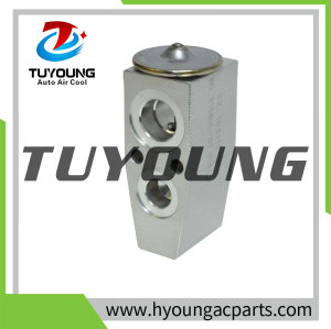 1550150 1551221 T39195 T39154 Auto Air Conditioning Expansion Valve for 2006 Chevrolet