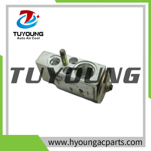 TUYOUNG China factory produce auto ac expansion valves for Mercedes A W168 A1688300284 R134a, HY-PZF307