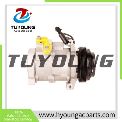 10S17C Auto AC Compressor for X5 (E53) 64526909628 64526921651 64529158039 6909628 4471708189 DCP05046 4471708183 4471708184