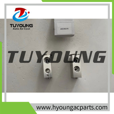 TUYOUNG China supply auto ac expansion valves for  JCB 3CX, 4CX  265/00278, 997/13800, 30/914005,  HY-PZF320