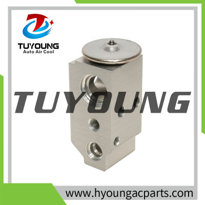 Auto Air Conditioning Expansion Valve for Hyundai Tucson GL T39382 4257 39382 600085 3411495 TEM217382 2013953 180360