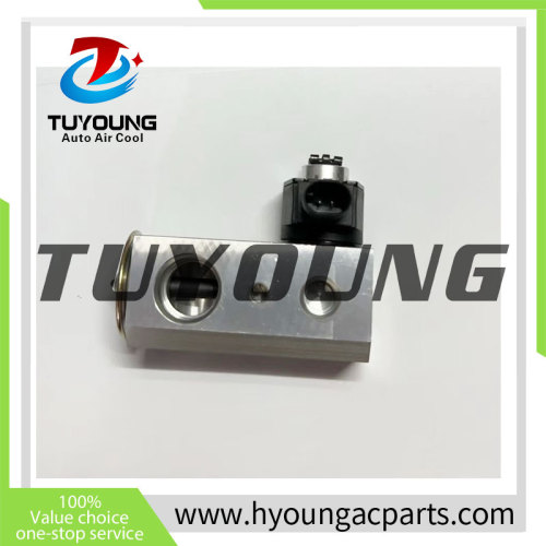 Auto Air Conditioning Expansion Valve for Chery Arrizo