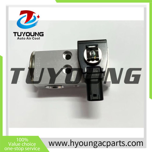 Auto Air Conditioning Expansion Valve for Chery Arrizo