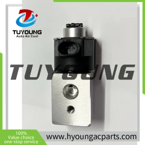 Auto Air Conditioning Expansion Valve for GAC Trumpchi Emgrand EV