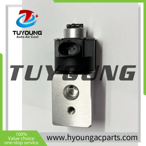 Auto Air Conditioning Expansion Valve for GAC Trumpchi Emgrand EV