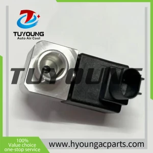 823704003 Auto Air Conditioning Expansion Valve