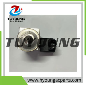 Auto Air Conditioning Expansion Valve for GAC Trumpchi GS4