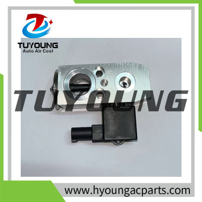 Auto Air Conditioning Expansion Valve for GAC Trumpchi GS4