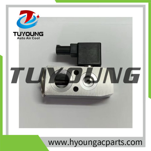 Auto Air Conditioning Expansion Valve for GAC Trumpchi GS4