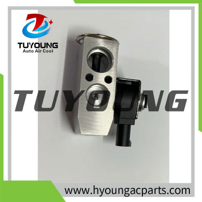 Auto Air Conditioning Expansion Valve for  GAC Trumpchi M6