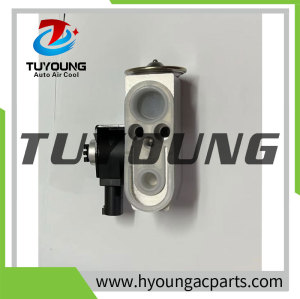 Auto Air Conditioning Expansion Valve for  GAC Trumpchi M6