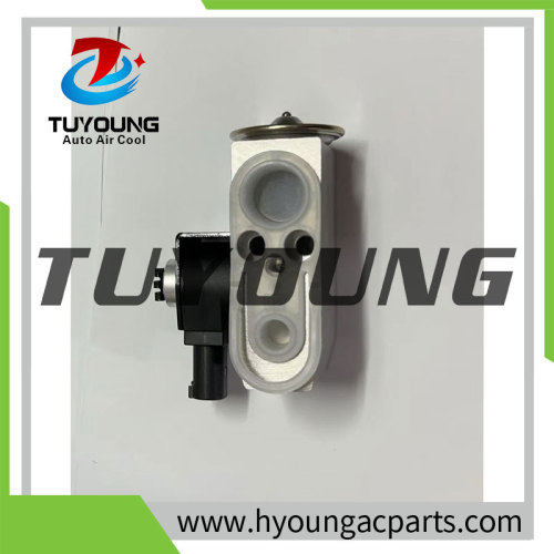 Auto Air Conditioning Expansion Valve for  GAC Trumpchi M6