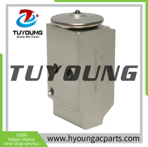 976262T000 3131270 39469 976262T000 Auto Air Conditioning Expansion Valve for Hyundai Santa