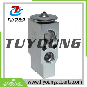 EX 10187C Auto Air Conditioning Expansion Valve for Nissan Armada V8 5.6L Nissan Frontier Pathfinder 922005Z010 92200ZC00A 1550915 T39117