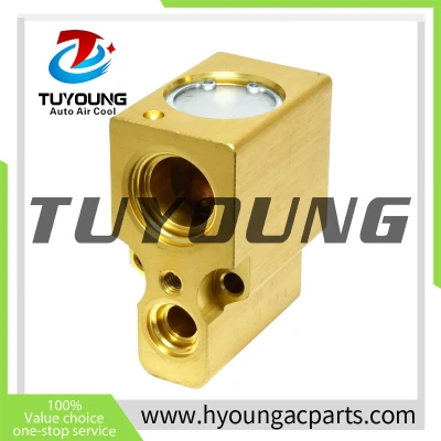 PN#1H0820679C 6N0820679C 6N0820679A a/c expansion valve for Audi TT Seat Arosa Cordoba Skoda Octavia VW Bora Golf IV Lupo Polo IV New Beetle