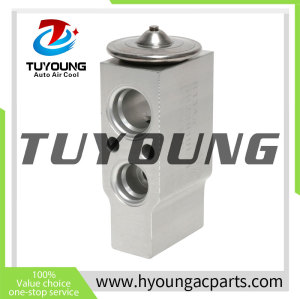Auto Air Conditioning Expansion Valve for 2010 INFINITI QX56 Base V8  4615L0101  EX 9719C  208518 EX1616 4615L0101