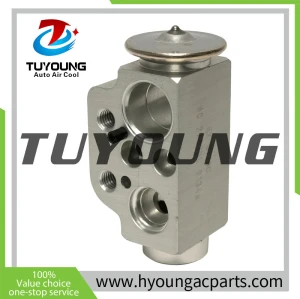 EX 9770C Auto Air Conditioning Expansion Valve for Porsche Cayenne 3.0L 2003-2010 3.6L 4.8L 2016-2018 95557231910 95557231911 M719