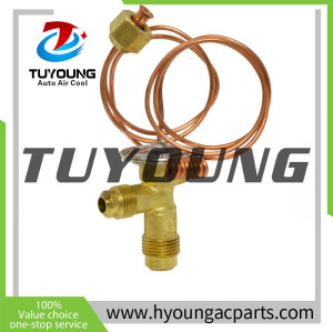 Auto Air Conditioning Expansion Valve for 155337 155493 155765 155766 155785 T38725 70257322 ABPN83308015 ABPN8330815 902238 540175