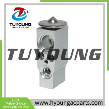 Car Expansion Valve Peugeot 206 5045166 6461E9 6461H1 701820679 701820679D 9196195 1618192 16 18 192 4635199 6461H1 6461H2 6461E9 6461G9 7701044611