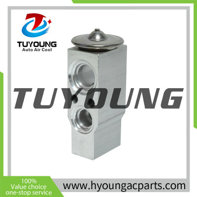 Car Expansion Valve Peugeot 206 5045166 6461E9 6461H1 701820679 701820679D 9196195 1618192 16 18 192 4635199 6461H1 6461H2 6461E9 6461G9 7701044611