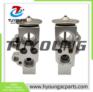 Auto Air Conditioning Expansion Valve for Audi A1 (8X1, 8XK) (2010 - 2024) 6C0820679  6C0816679 6C0816679 6C0816679