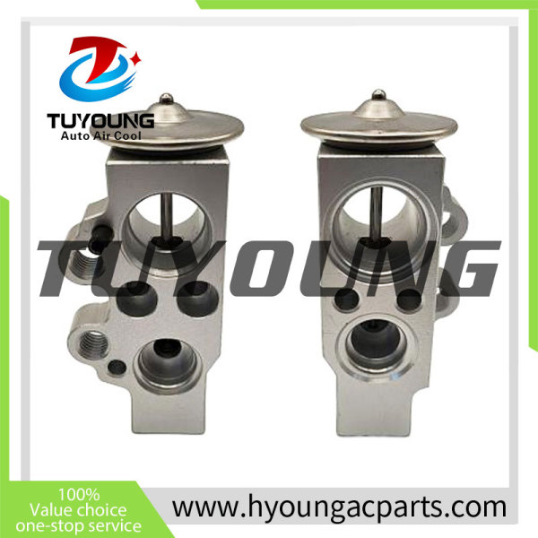 Auto Air Conditioning Expansion Valve for Audi A1 (8X1, 8XK) (2010 - 2024) 6C0820679  6C0816679 6C0816679 6C0816679