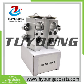 New mould AUDI Q5 auto ac expansion valves 8T0820679A 8T0820679 3131252 3131337 EX 9754C