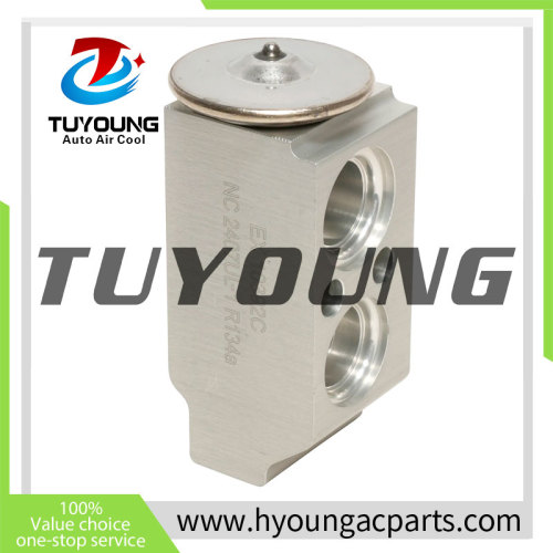 Auto Air Conditioning Expansion Valve for 2015 Hyundai Tucson GL L4  97626-2S000 976262S000 T39382 4257 T39382