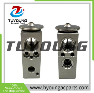 TGK522952 6001547682 6601547682 7701060024 Auto Air Conditioning Expansion Valve for DACIA DUSTER