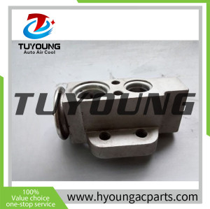 Brand new Auto Air Conditioning Expansion Valve for Seat Cordoba for Volkswagen for Skoda for Fabia 52268990 S3269001 M3396002 HFC134A 4774 EIS01302722