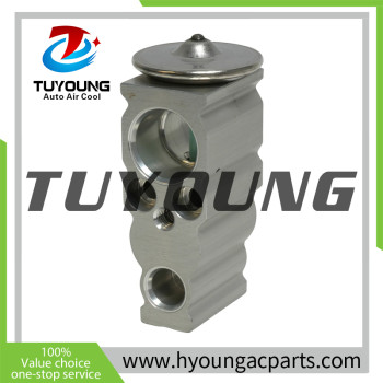 Auto Air Conditioning Expansion Valve Honda Civic 1.5L, 2.0L EX 529514C 80220TBAA11 T39578 39578 39604 3411931 3131470 8851506160 8851533080