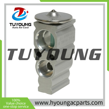 Auto Air Conditioning Expansion Valve Honda Civic 1.5L, 2.0L EX 529514C 80220TBAA11 T39578 39578 39604 3411931 3131470 8851506160 8851533080