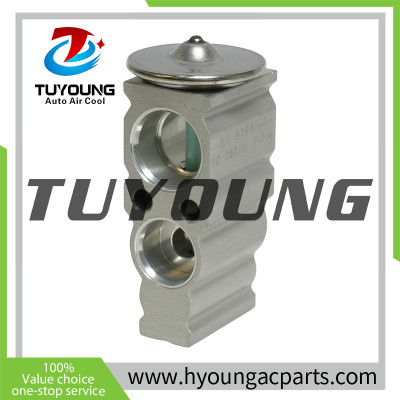 Auto Air Conditioning Expansion Valve Honda Civic 1.5L, 2.0L EX 529514C 80220TBAA11 T39578 39578 39604 3411931 3131470 8851506160 8851533080